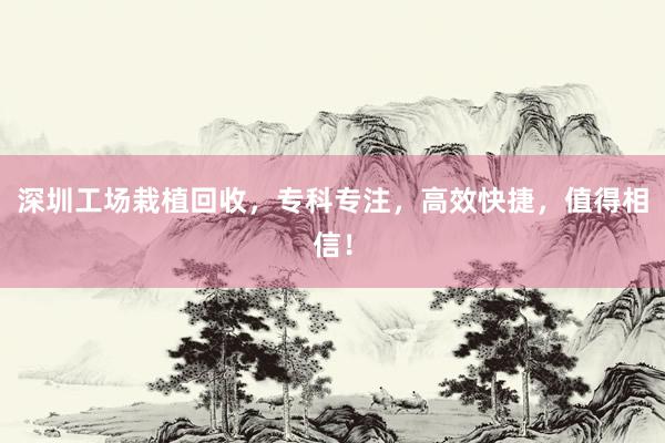 深圳工场栽植回收，专科专注，高效快捷，值得相信！