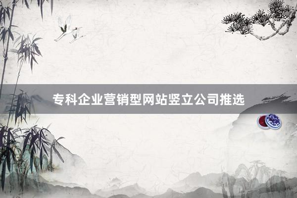 专科企业营销型网站竖立公司推选
