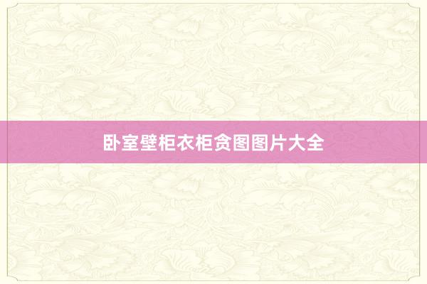 卧室壁柜衣柜贪图图片大全