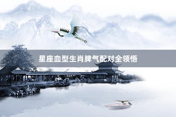 星座血型生肖脾气配对全领悟